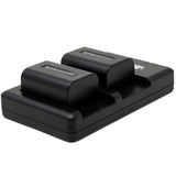 Sony NP-FV30, NP-FV40, NP-FV50 Battery (2-Pack) and Dual Flat Charger by Wasabi Power